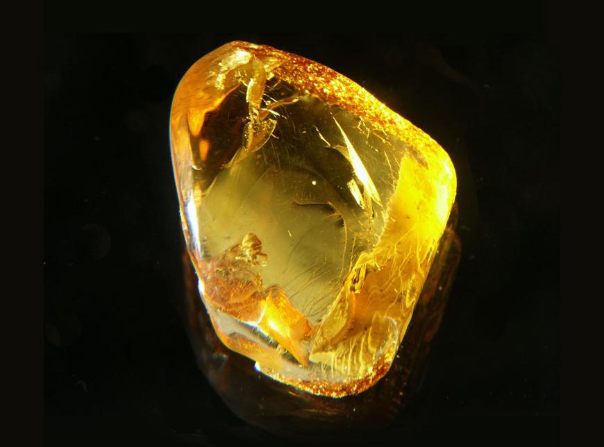 AMBER