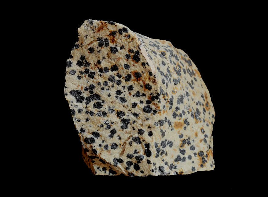 DALMATIAN JASPER